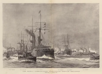 The Newly Commissioned Particular Service Squadron